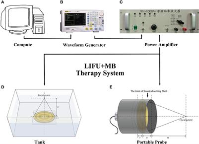 Low-Intensity Focused Ultrasound Targeted Microbubble Destruction Enhanced Paclitaxel Sensitivity by Decreasing Autophagy in Paclitaxel-Resistant Ovarian Cancer